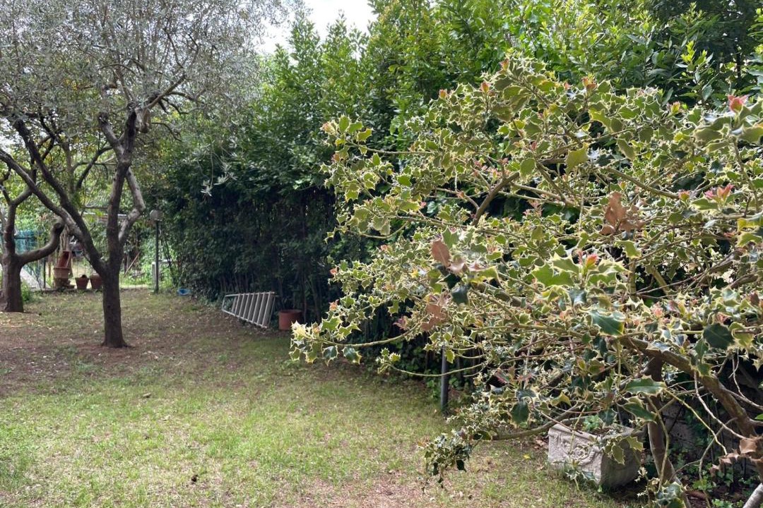 Photo of Outdoor in Ronciglione