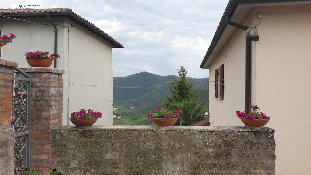 Photo of Others in Terni