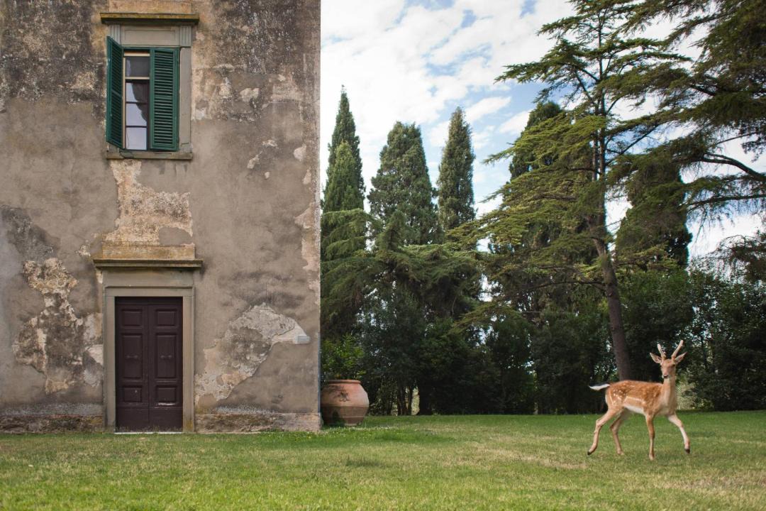 Photo of Others in Grosseto