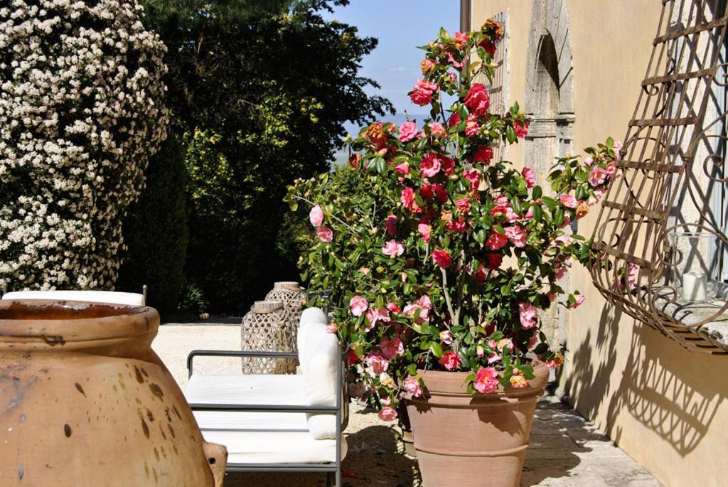 Photo of Others in Montepulciano