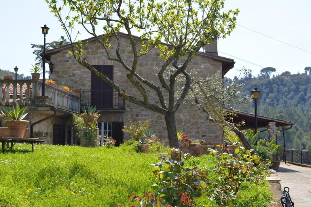 Photo of Buildings in Torgiano