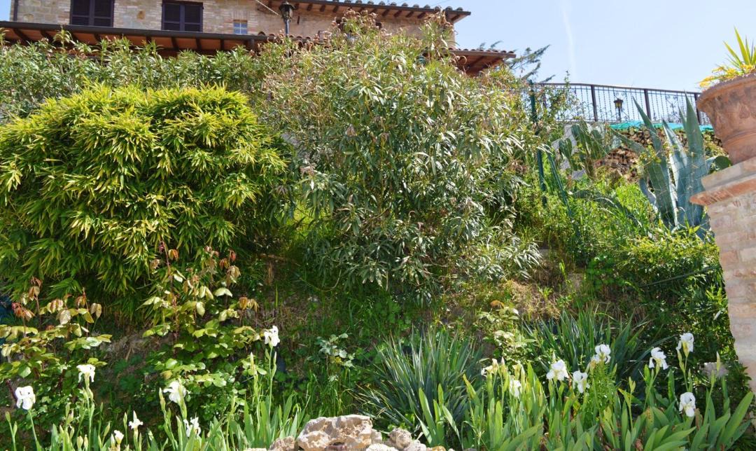 Photo of Others in Torgiano