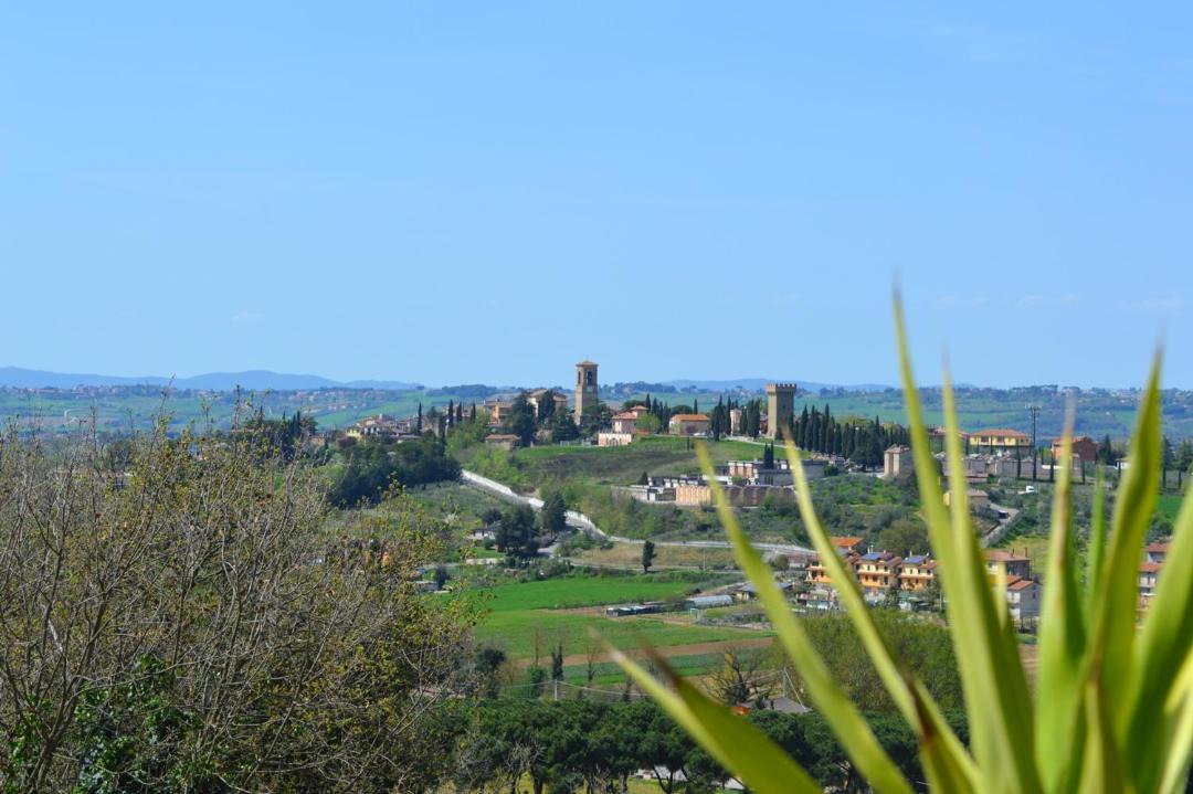 Photo of Outdoor in Torgiano