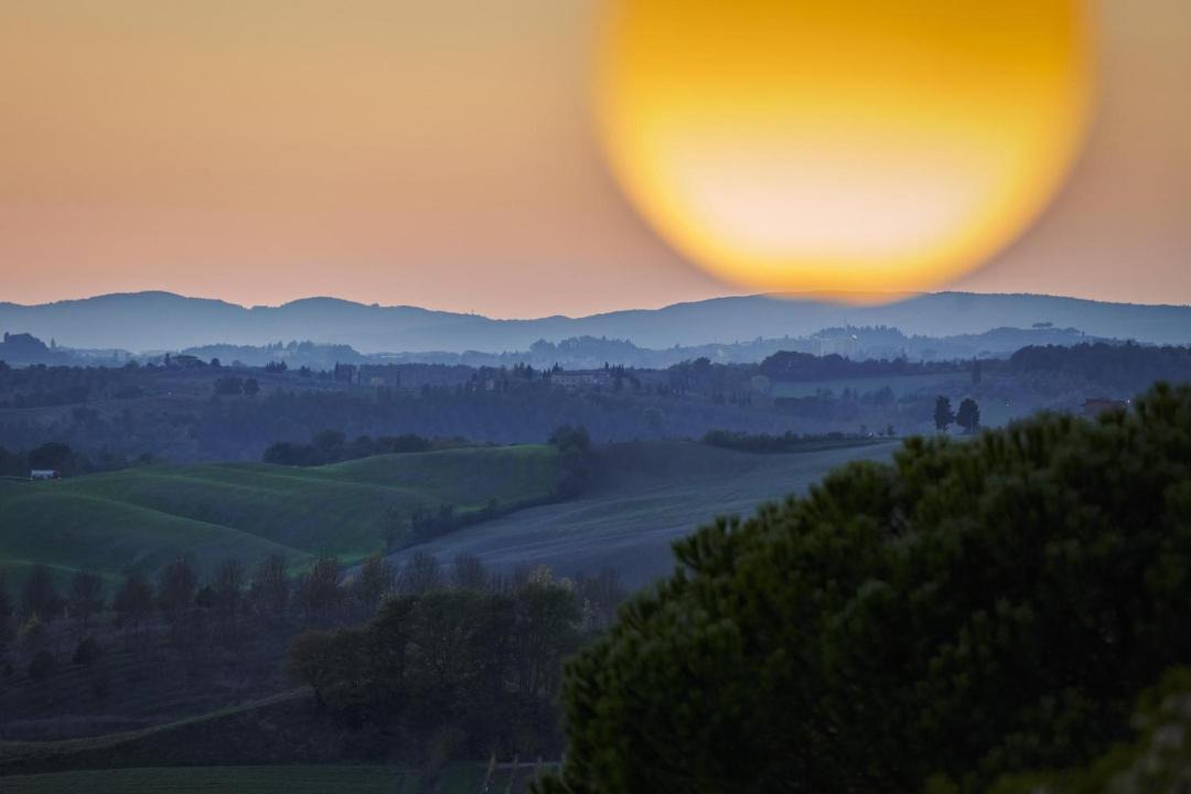 Photo of Others in Castelnuovo Berardenga