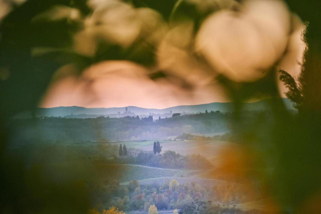 Photo of Others in Castelnuovo Berardenga