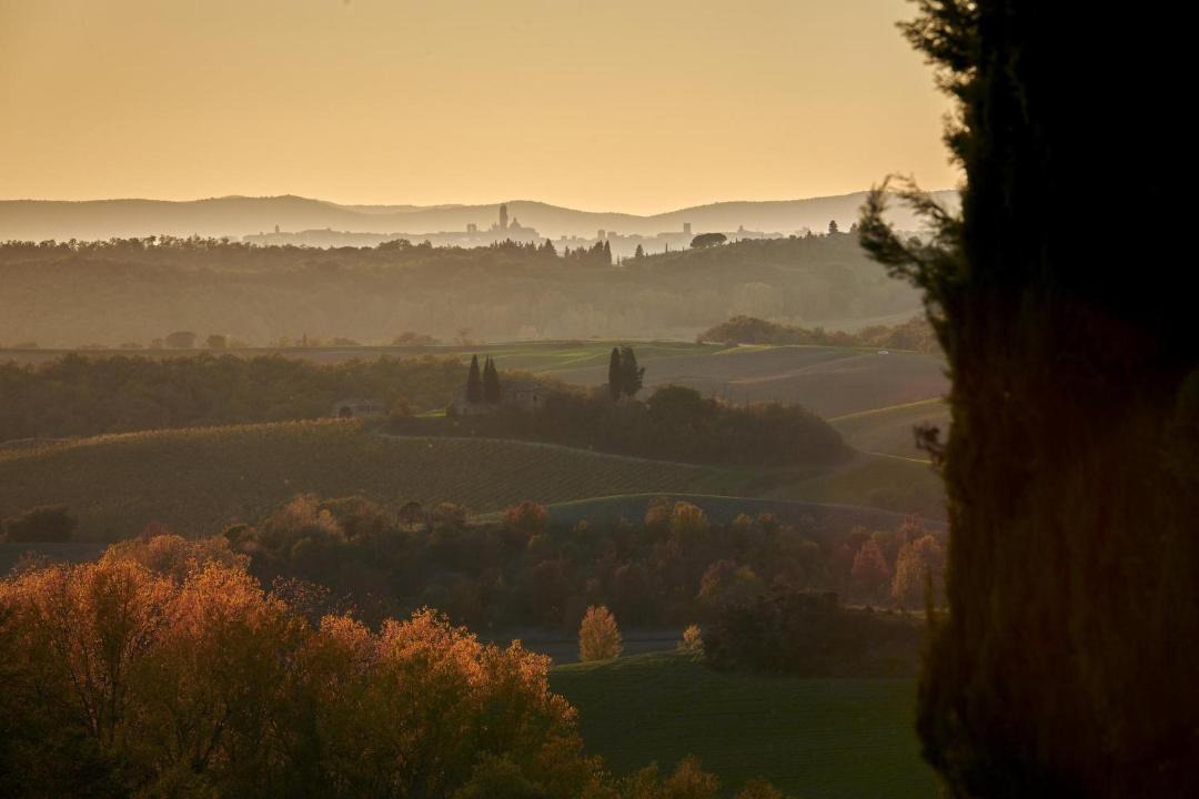 Photo of Others in Castelnuovo Berardenga