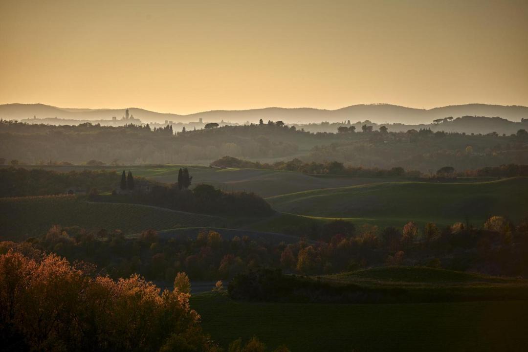 Photo of Others in Castelnuovo Berardenga