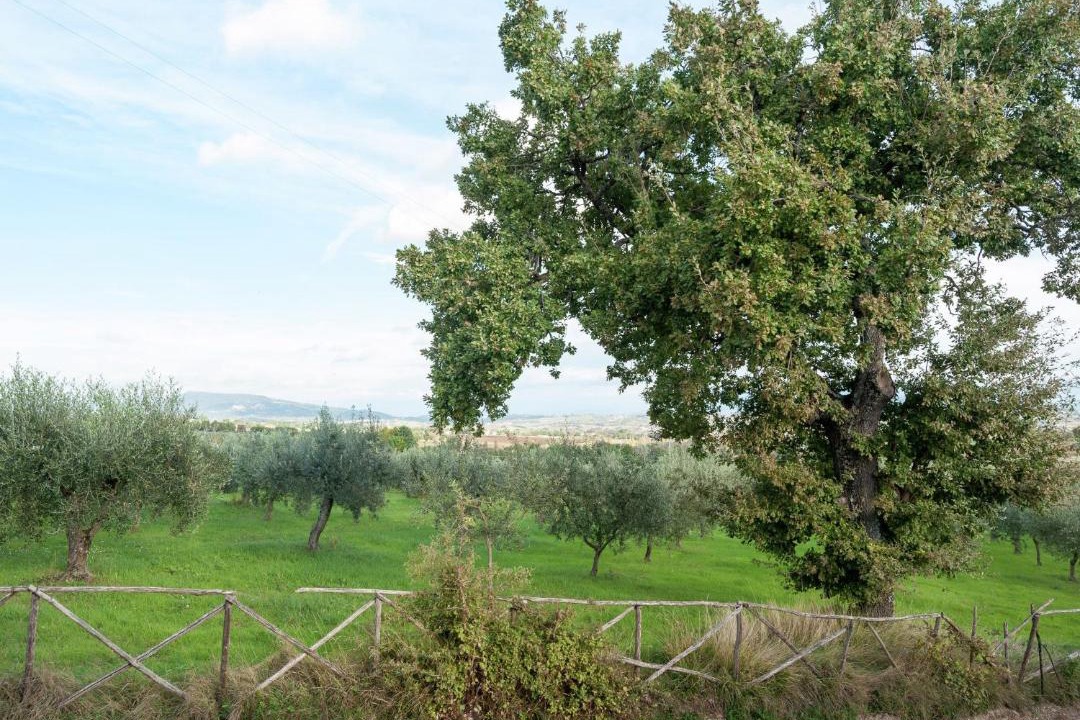 Photo of Others in Giano dell'Umbria