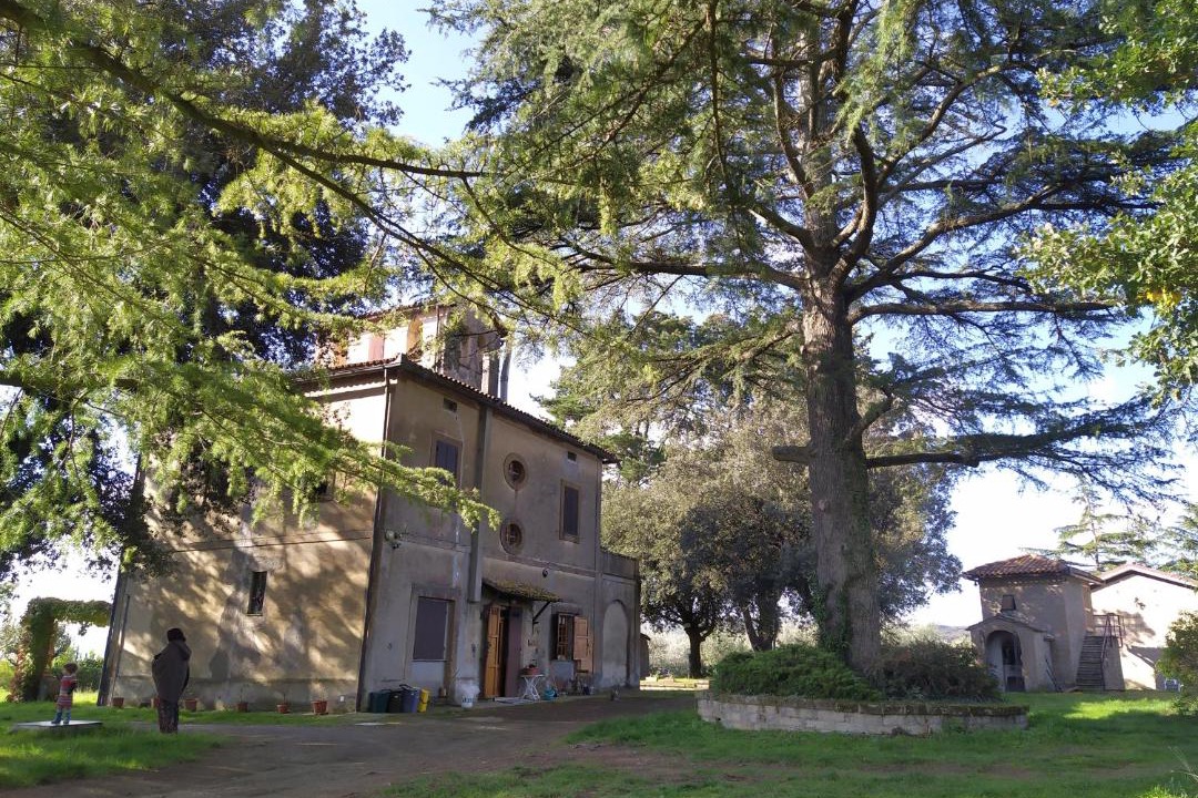 Photo of Others in San Lorenzo Nuovo