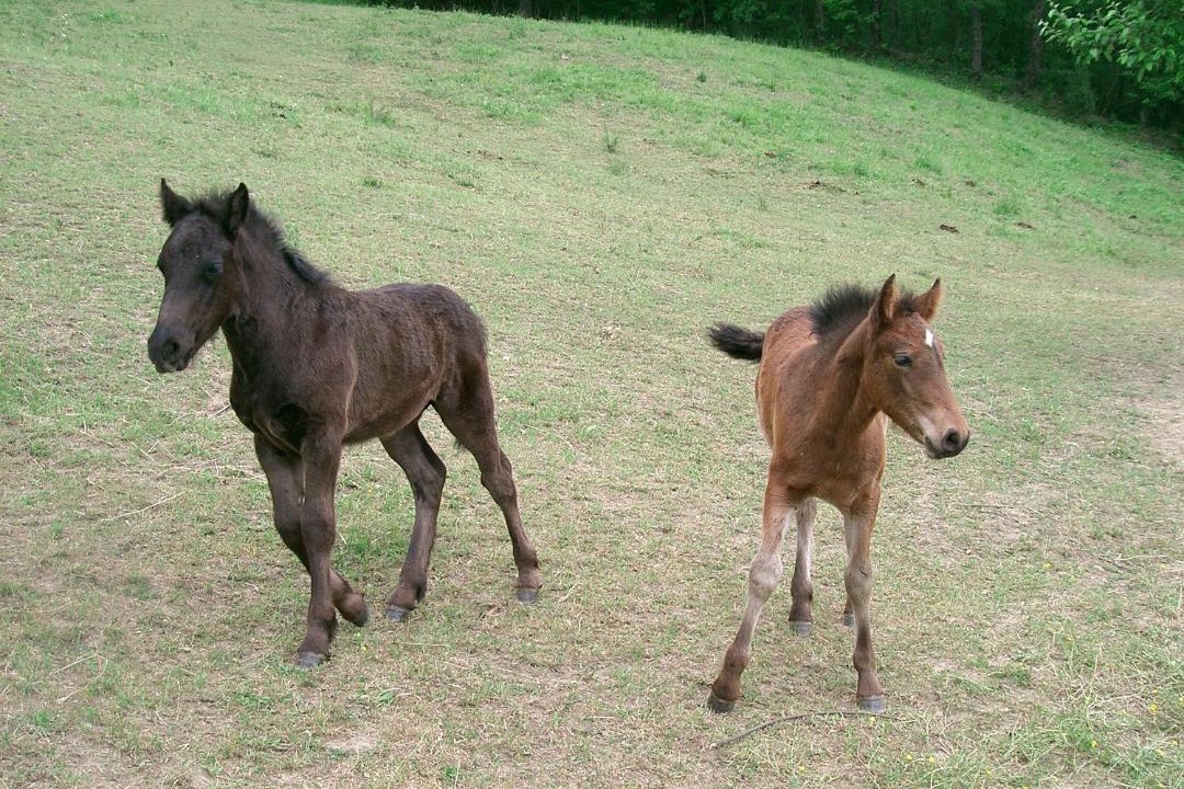 Photo of Others in Borgo Val di Taro