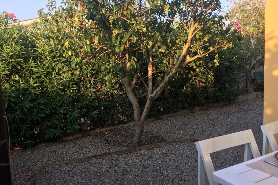 Photo of Others in Lido di Capoliveri