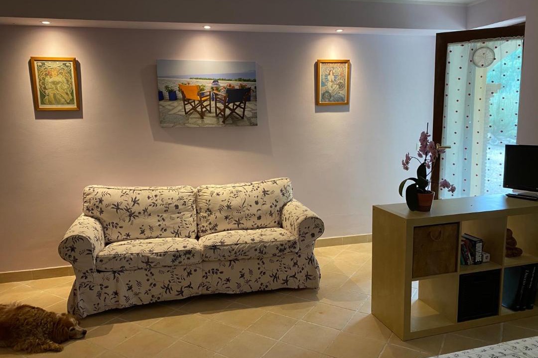 Photo of Livingroom in Viterbo