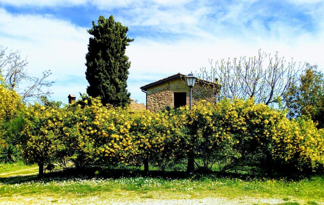 Photo of Others in Bertinoro