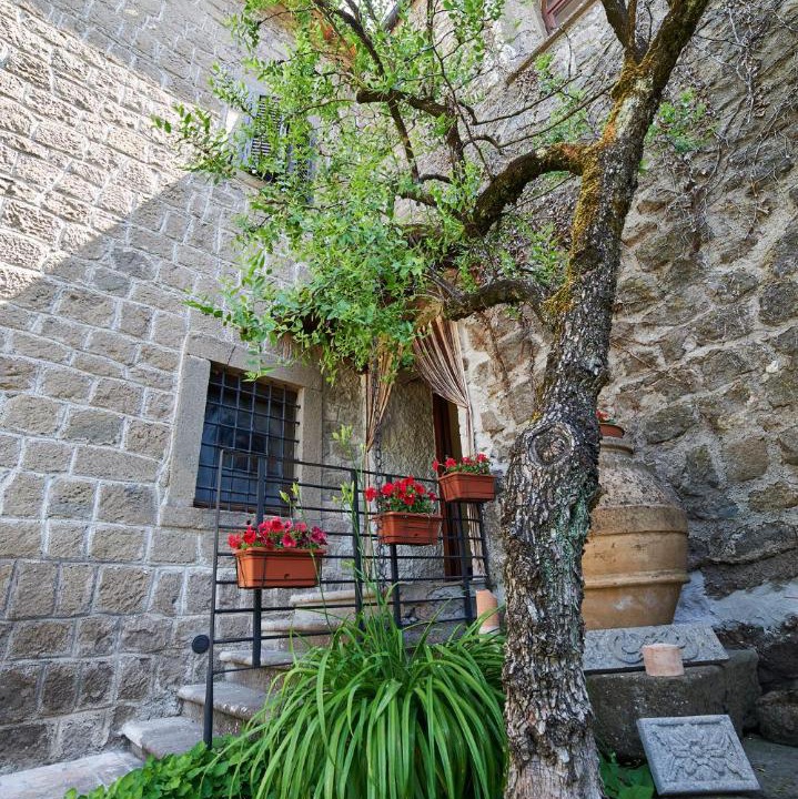 Photo of Others in Montefiascone