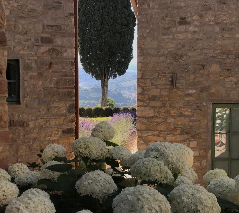 Photo of Others in Greve in Chianti