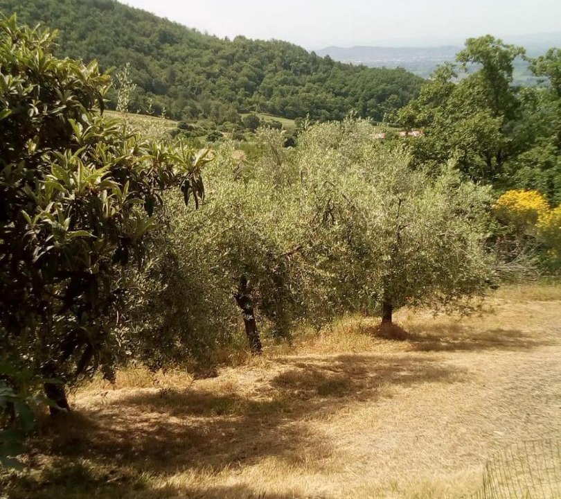 Photo of Others in Subbiano