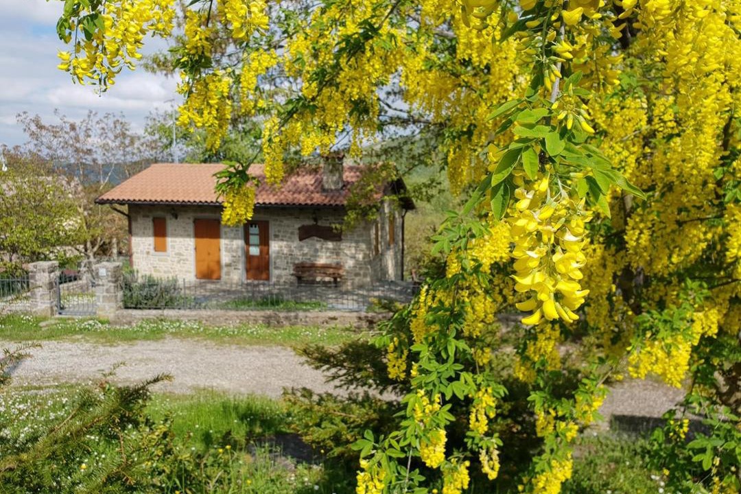 Photo of Others in Corrubbio di Negarine