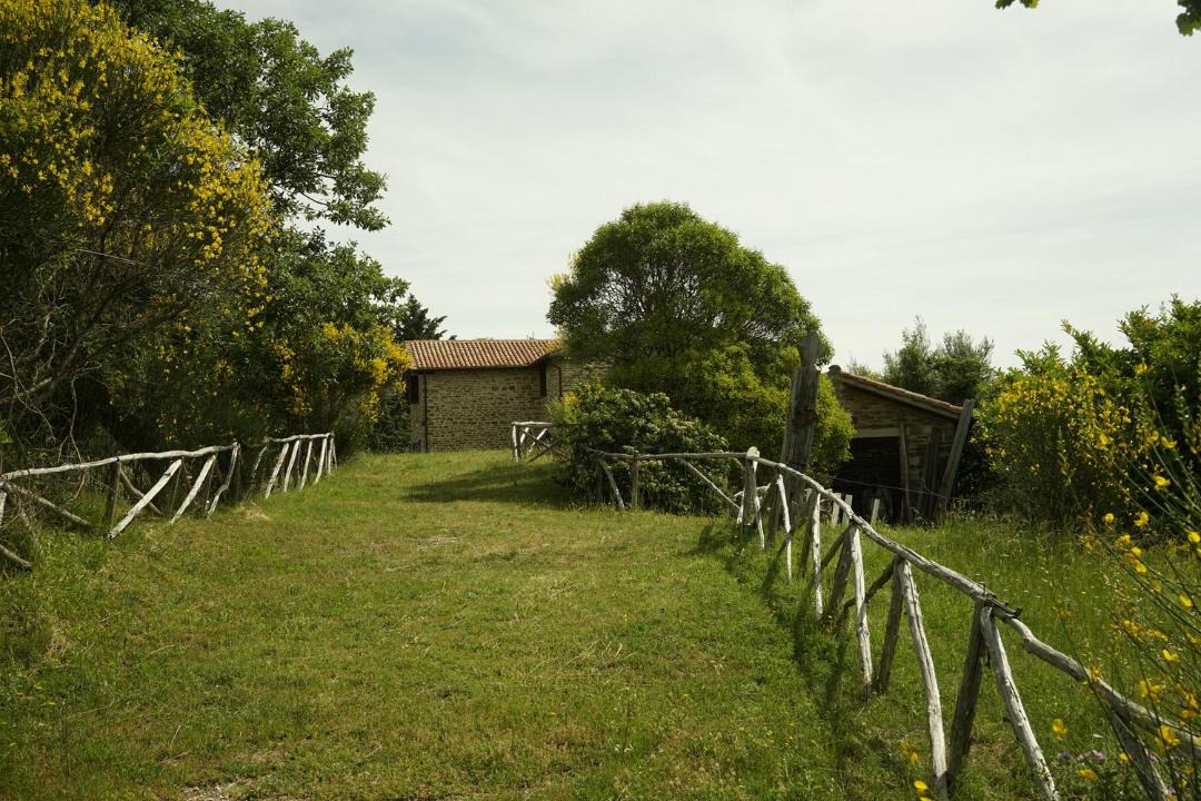 Photo of Others in Montelovesco