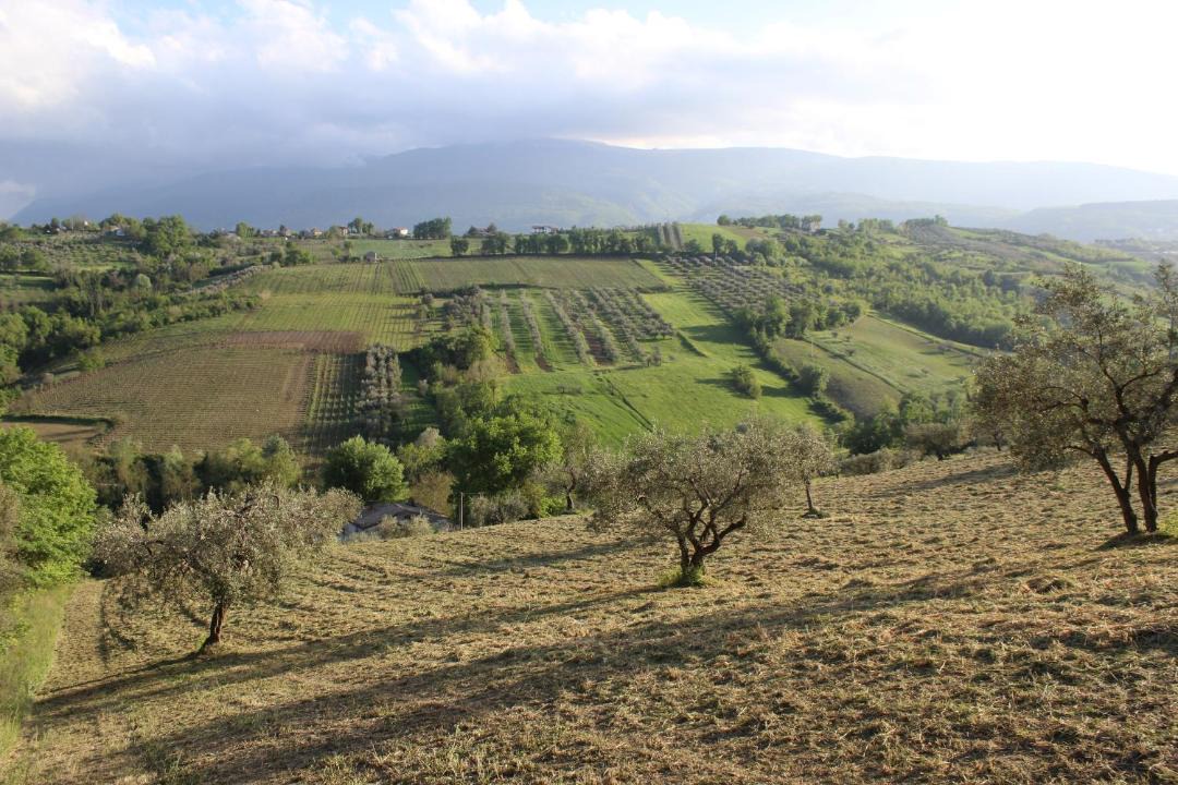 Photo of Others in Fara Filiorum Petri