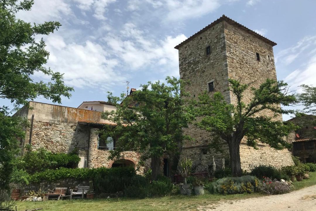Photo of Others in Castiglione della Pescaia