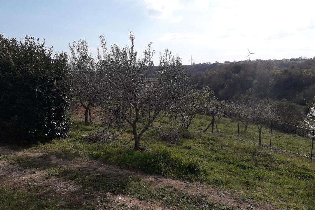 Photo of Outdoor in Piansano