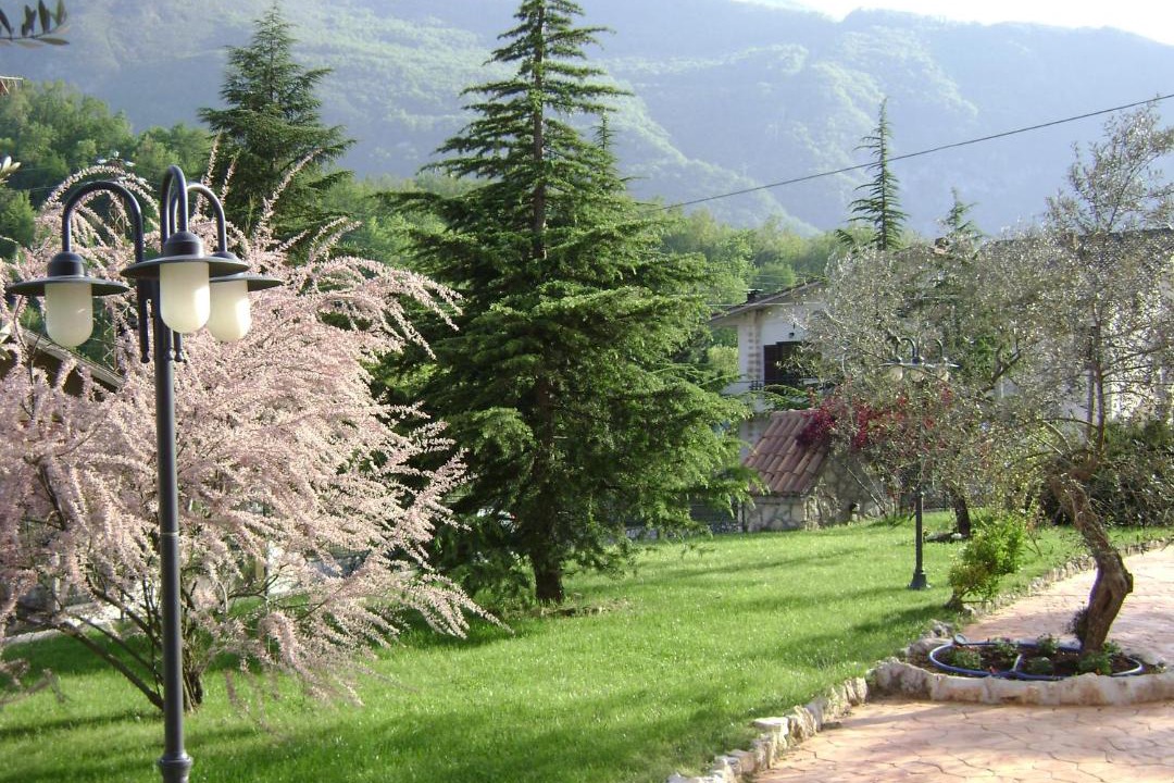 Photo of Others in Morino