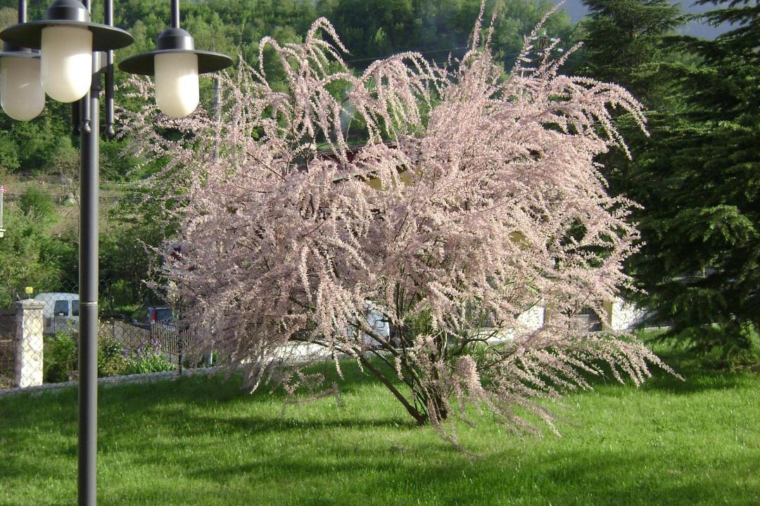 Photo of Others in Morino