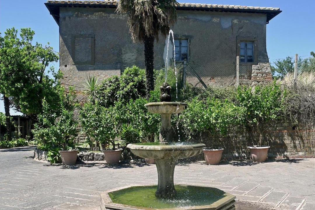 Photo of Others in Viterbo
