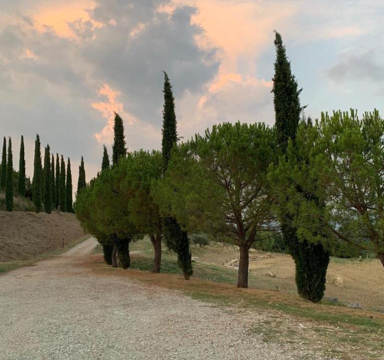 Photo of Others in Monticello Amiata