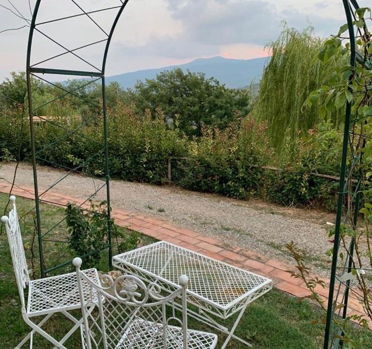 Photo of Others in Monticello Amiata