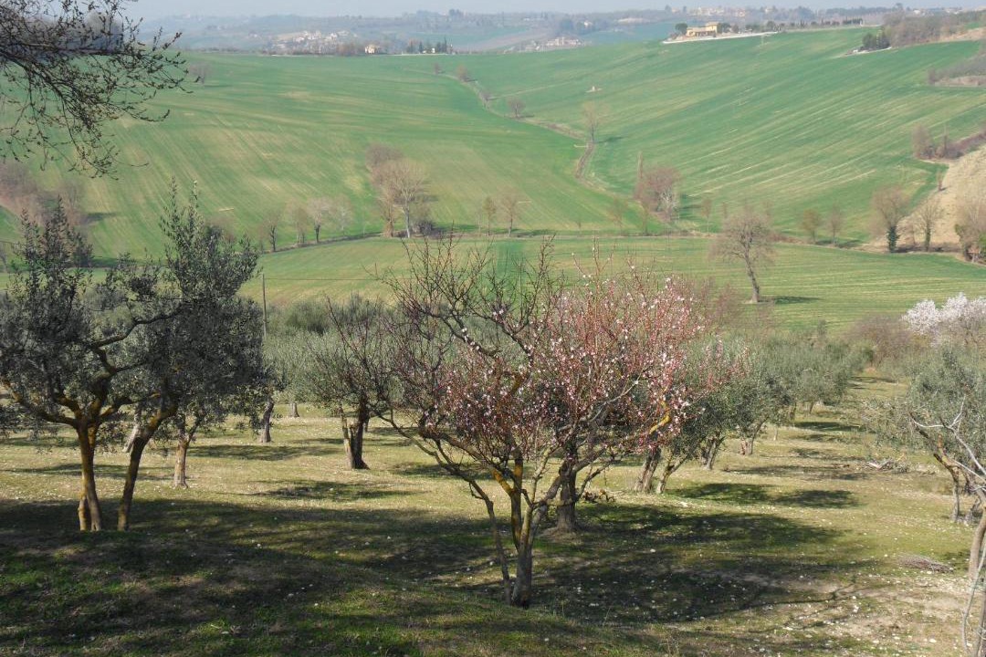 Photo of Others in San Brizio
