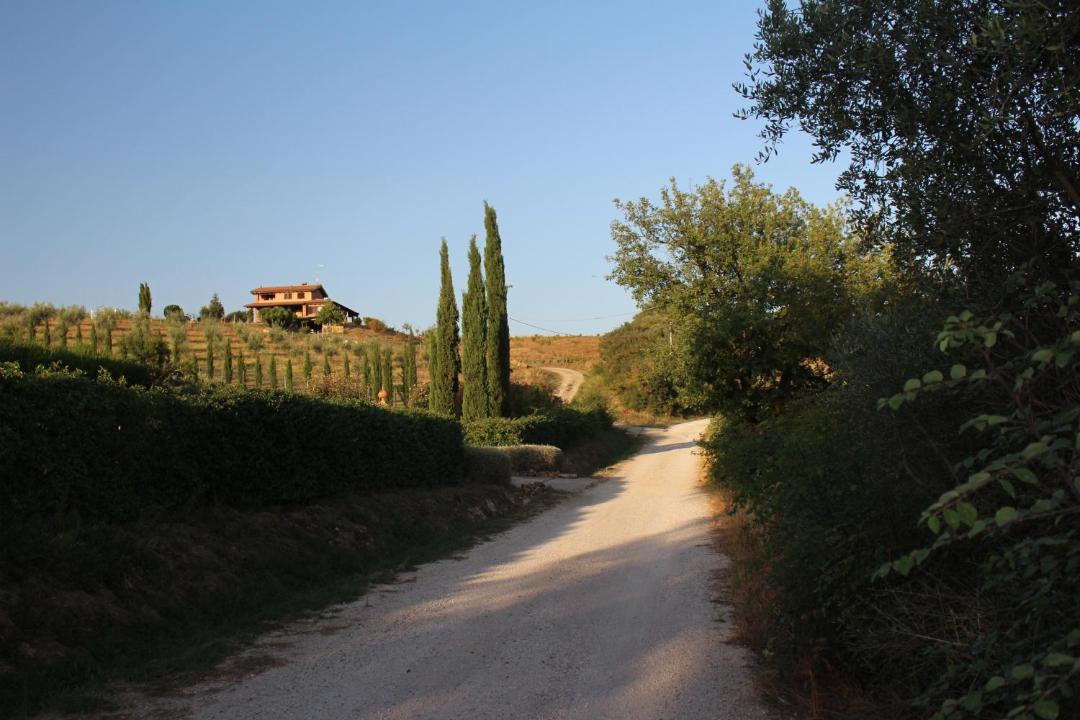 Photo of Others in Campagnatico