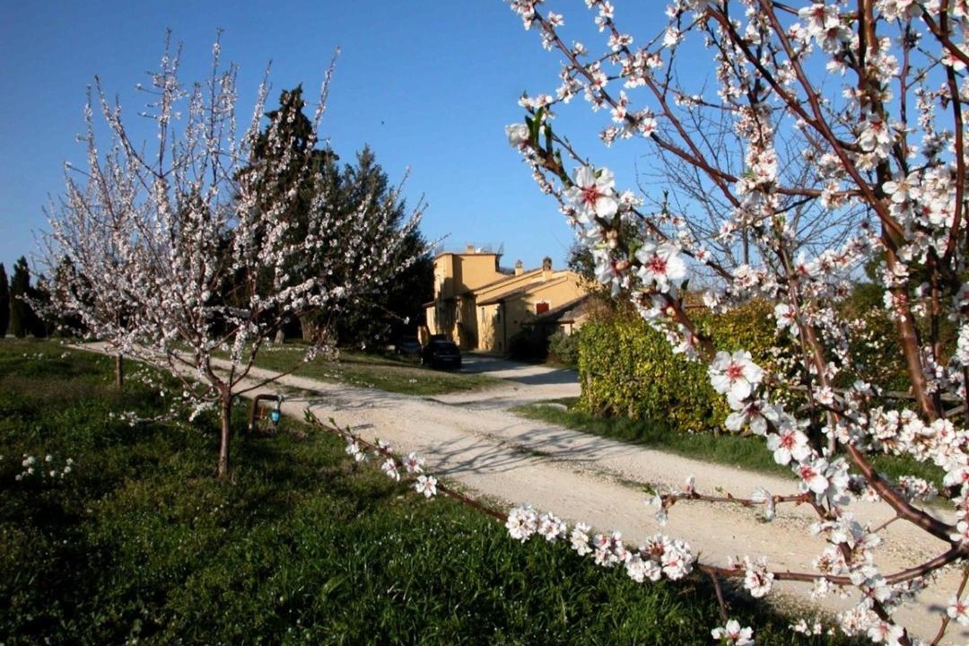 Photo of Buildings in Loreto Aprutino