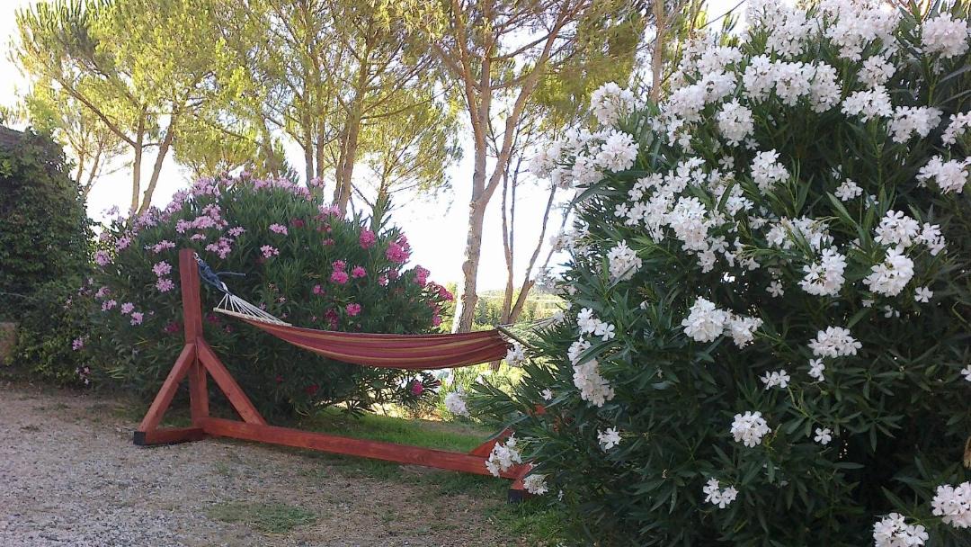 Photo of Others in Gavorrano