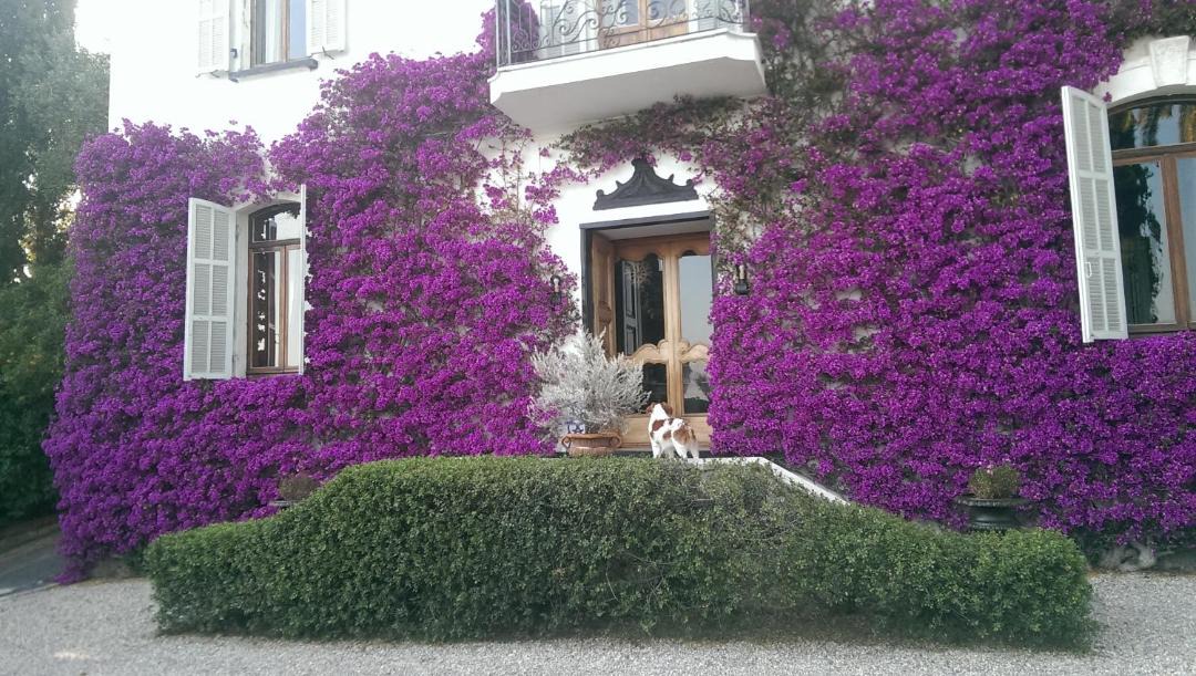 Photo of Others in Imperia
