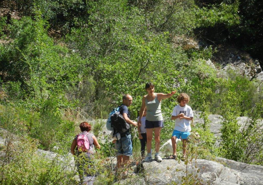 Photo of Others in Gavorrano