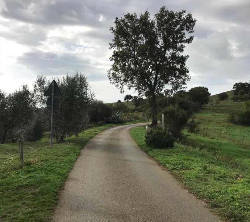 Photo of Others in Magliano in Toscana