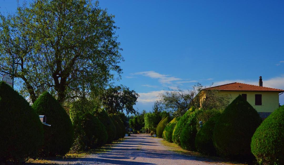Photo of Others in Campiglia Marittima
