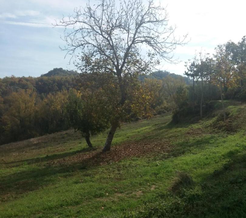 Photo of Others in Montelovesco