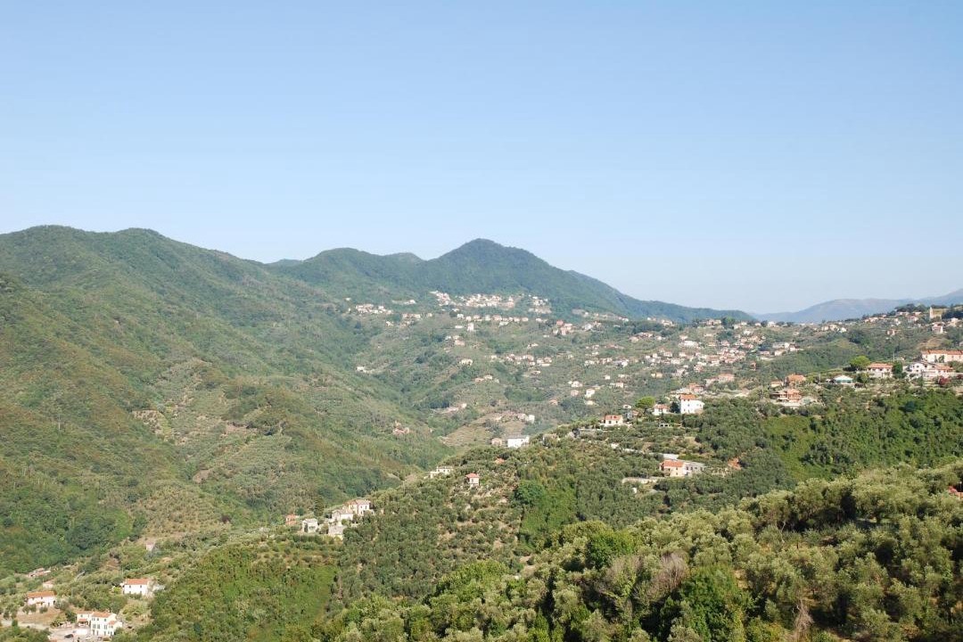 Photo of Others in Carmini