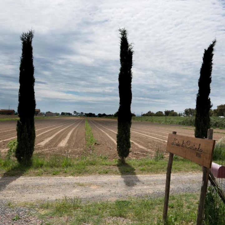 Photo of Others in Grosseto