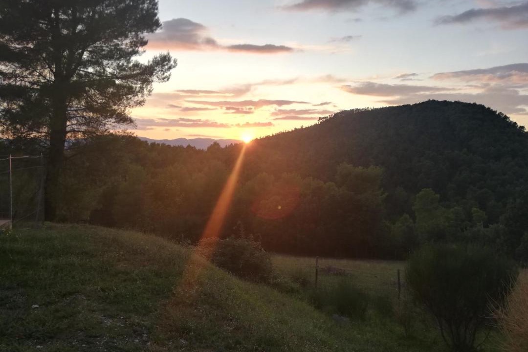 Photo of Others in Spoleto