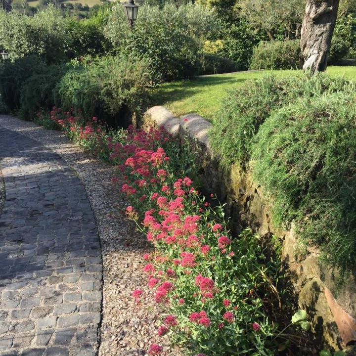 Photo of Others in Campagnano di Roma