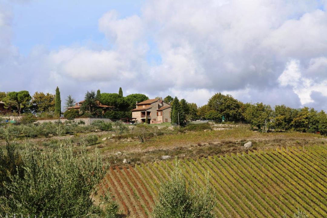 Photo of Others in Cignano
