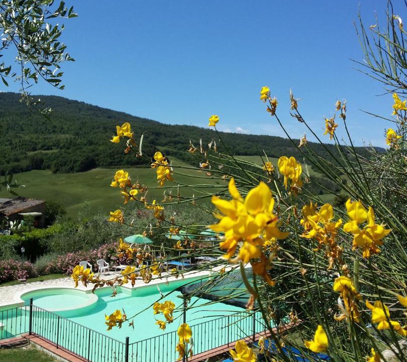 Photo of Others in San Dalmazio