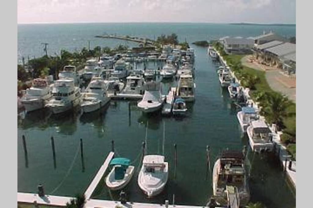 Photo of Others in Key Largo
