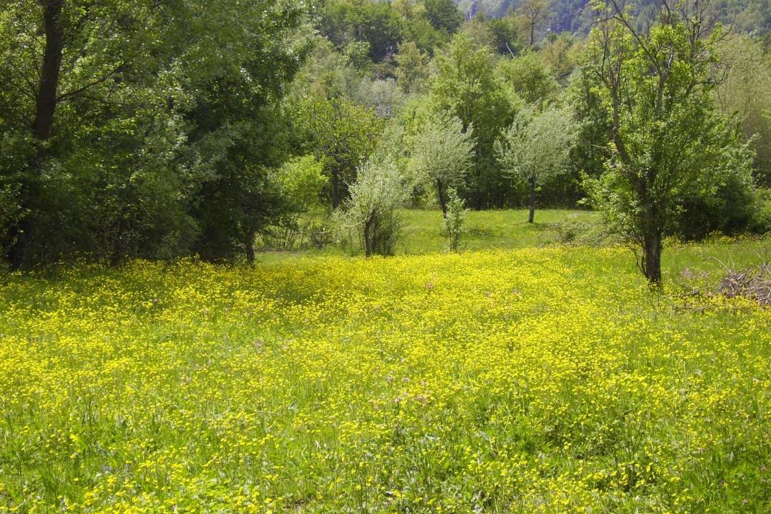 Photo of Others in Montelungo Superiore