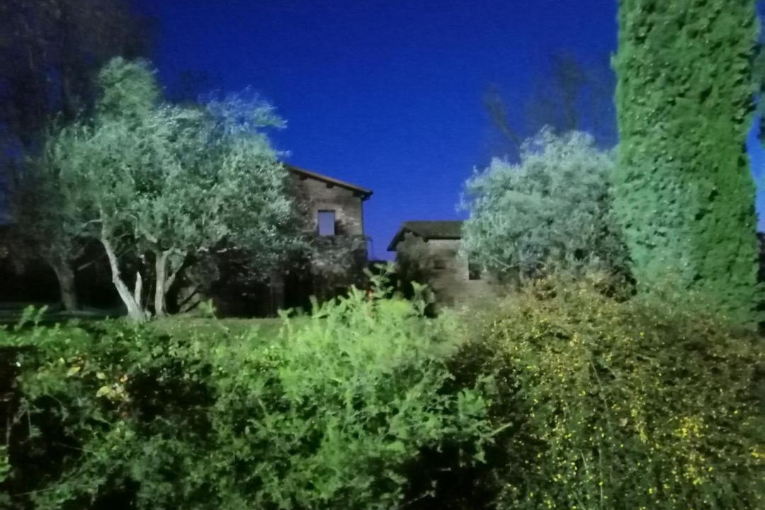 Photo of Others in Castelnuovo Berardenga
