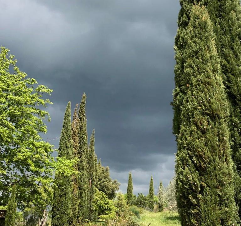 Photo of Others in Castelnuovo Berardenga