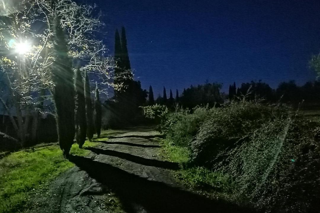 Photo of Others in Castelnuovo Berardenga